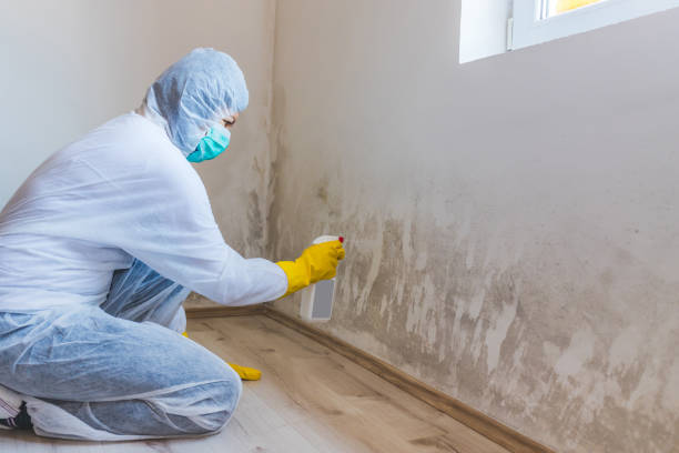 Mold Remediation specialist working in Niles